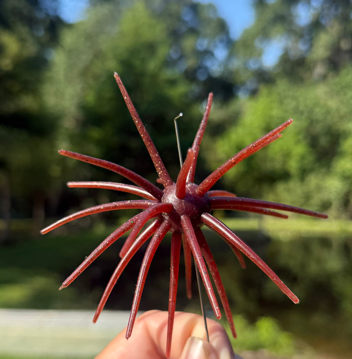 20mm Scuppernog